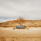 Death Valley. Pamela Littky: Vacancy.