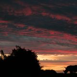 Fotostrecke: Rettet die Nashörner! - Bild 7