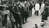 Interview: 20 Jahre für den Tierschutz