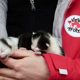 Interview: 20 Jahre für den Tierschutz - Bild 4