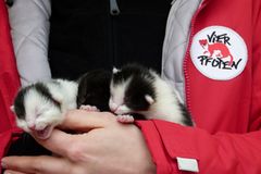 Interview: 20 Jahre für den Tierschutz - Bild 4