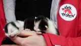Interview: 20 Jahre für den Tierschutz - Bild 4