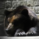 Interview: 20 Jahre für den Tierschutz - Bild 5