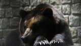 Interview: 20 Jahre für den Tierschutz - Bild 5
