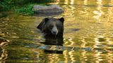 Interview: 20 Jahre für den Tierschutz - Bild 6