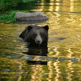 Interview: 20 Jahre für den Tierschutz - Bild 6