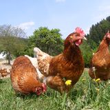 Interview: 20 Jahre für den Tierschutz - Bild 7