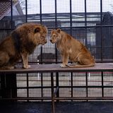 Interview: 20 Jahre für den Tierschutz - Bild 8