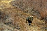 Interview: 20 Jahre für den Tierschutz - Bild 9