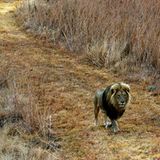 Interview: 20 Jahre für den Tierschutz - Bild 9