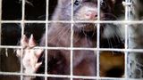 Interview: 20 Jahre für den Tierschutz - Bild 11
