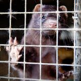 Interview: 20 Jahre für den Tierschutz - Bild 11