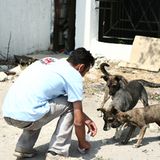 Interview: 20 Jahre für den Tierschutz - Bild 12