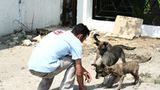 Interview: 20 Jahre für den Tierschutz - Bild 12