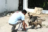 Interview: 20 Jahre für den Tierschutz - Bild 12