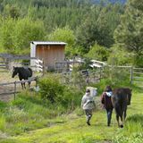 Interview: Leben wie Indianer - Bild 5