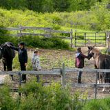 Interview: Leben wie Indianer - Bild 7