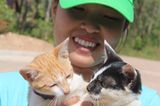 Tierschutz: Hilfe für Streunerkatzen in Thailand - Bild 6