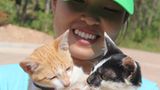 Tierschutz: Hilfe für Streunerkatzen in Thailand - Bild 6