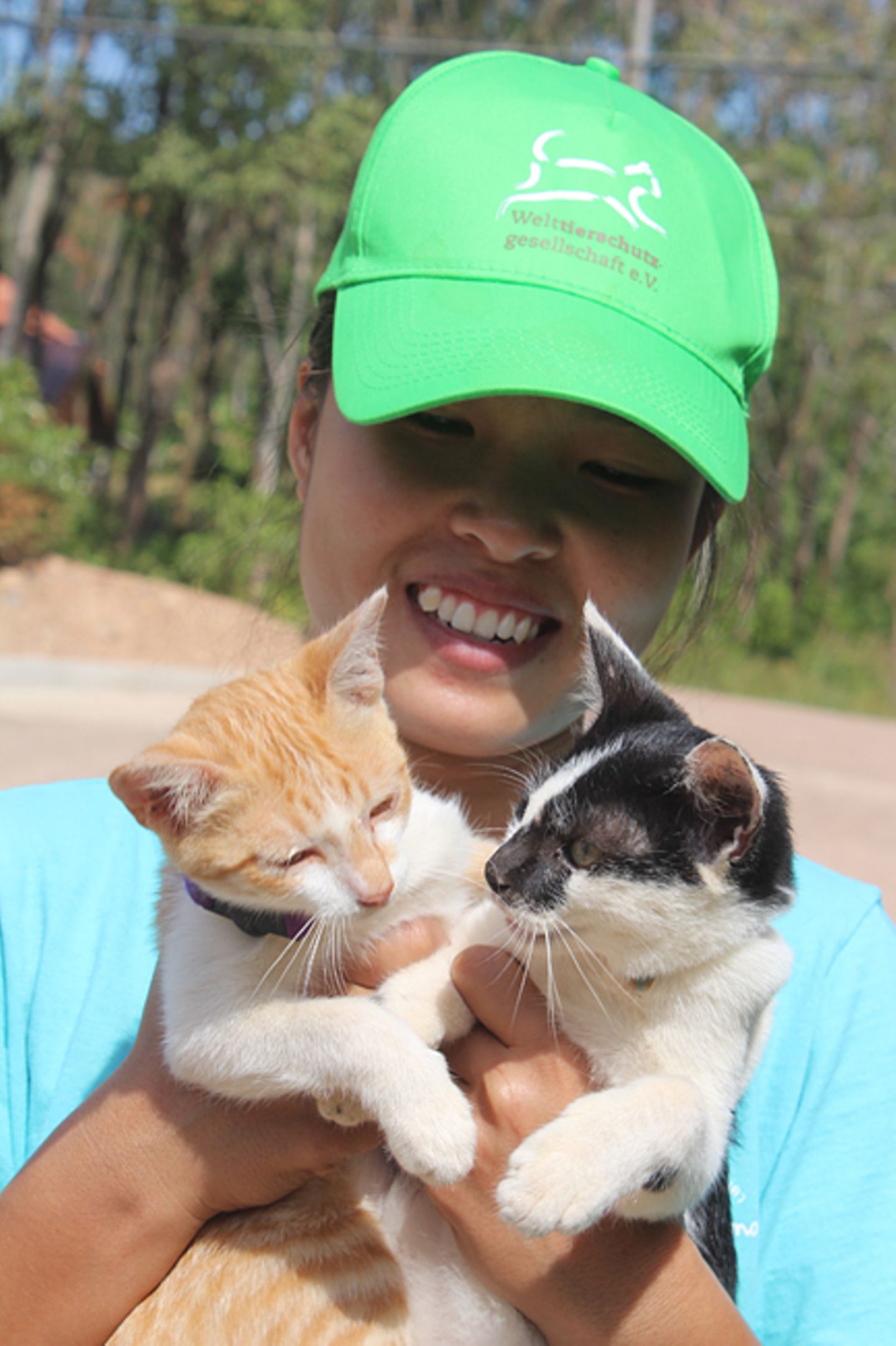 Tierschutz: Hilfe für Streunerkatzen in Thailand - Bild 6