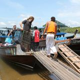 Tierschutz: Hilfe für Streunerkatzen in Thailand - Bild 7