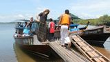 Tierschutz: Hilfe für Streunerkatzen in Thailand - Bild 7