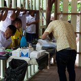 Tierschutz: Hilfe für Streunerkatzen in Thailand - Bild 10