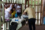 Tierschutz: Hilfe für Streunerkatzen in Thailand - Bild 10
