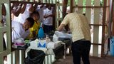 Tierschutz: Hilfe für Streunerkatzen in Thailand - Bild 10