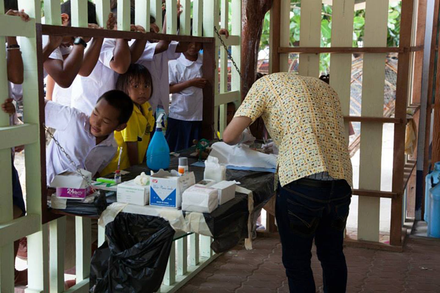 Tierschutz: Hilfe für Streunerkatzen in Thailand - Bild 10 Tierschutz: Hilfe für Streunerkatzen in Thailand - Bild 10
