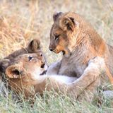 GEO Leserfoto: Die besten Leserfotos: August 2014 - Bild 3