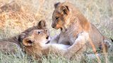 GEO Leserfoto: Die besten Leserfotos: August 2014 - Bild 3