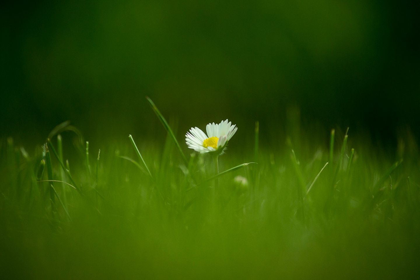 GEO Leserfoto: Die besten Leserfotos: August 2014 - Bild 5