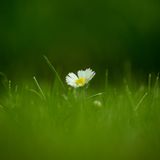 GEO Leserfoto: Die besten Leserfotos: August 2014 - Bild 5