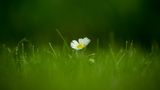 GEO Leserfoto: Die besten Leserfotos: August 2014 - Bild 5