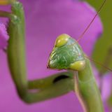 GEO Leserfoto: Die besten Leserfotos: August 2014 - Bild 6