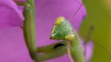 GEO Leserfoto: Die besten Leserfotos: August 2014 - Bild 6