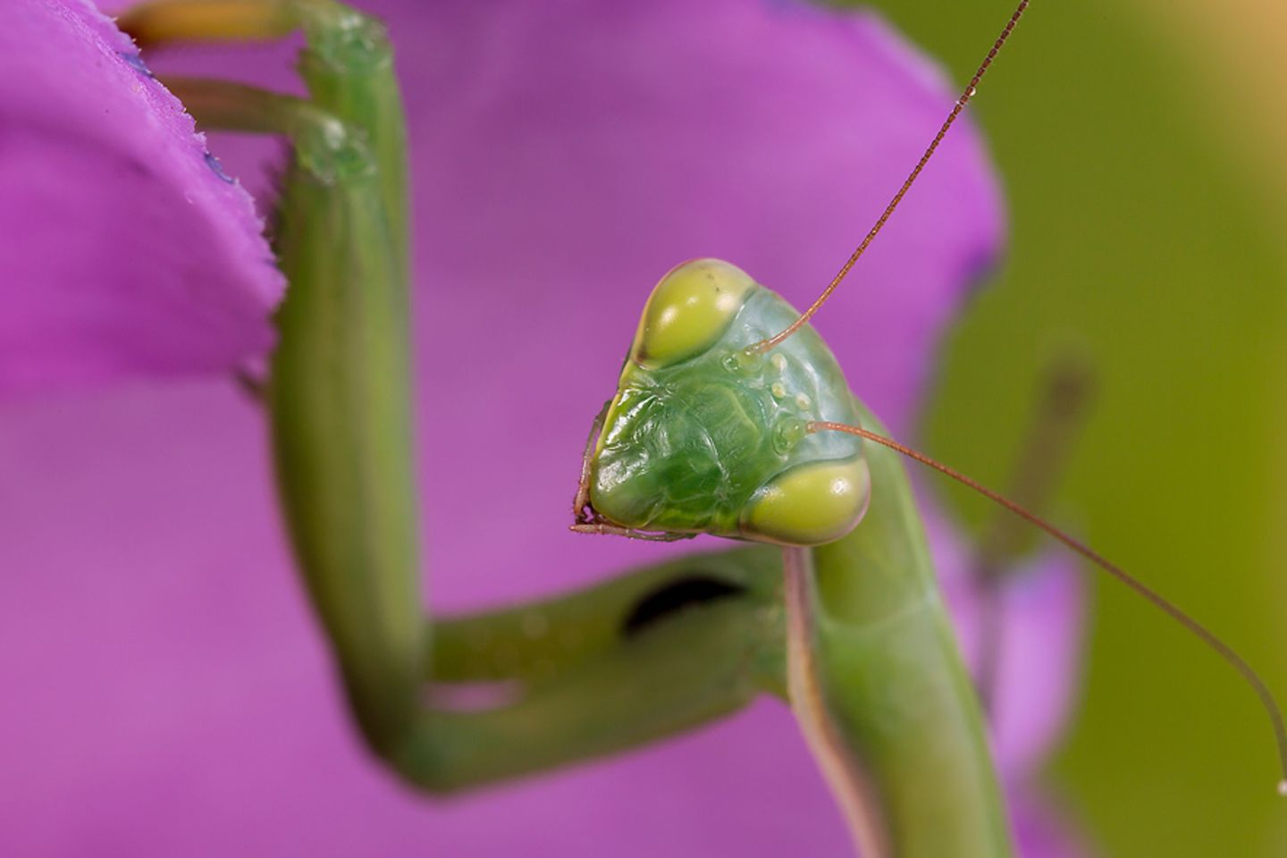 GEO Leserfoto: Die besten Leserfotos: August 2014 - Bild 6