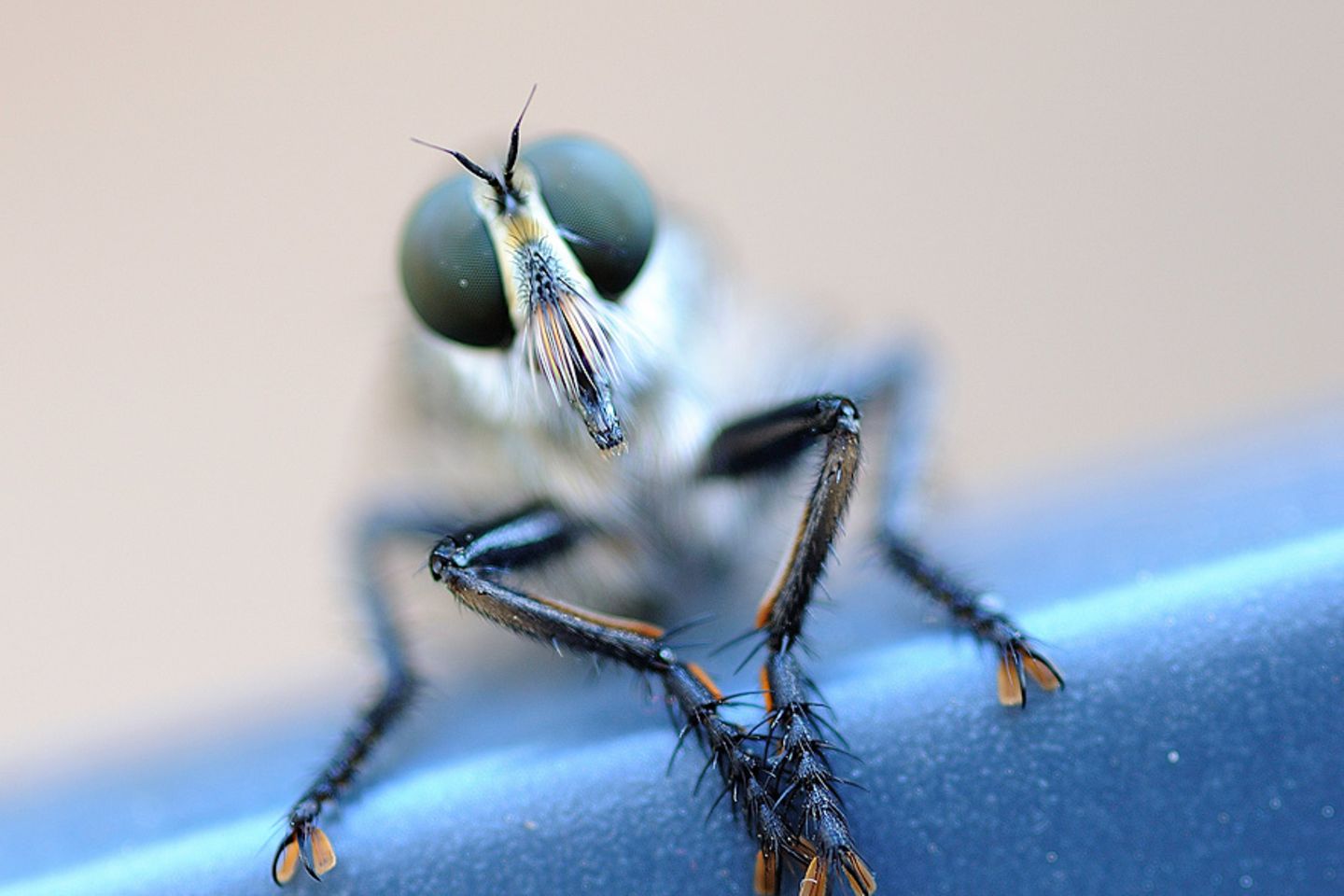 GEO Leserfoto: Die besten Leserfotos: August 2014 - Bild 9