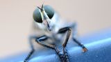 GEO Leserfoto: Die besten Leserfotos: August 2014 - Bild 9