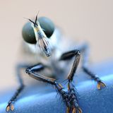 GEO Leserfoto: Die besten Leserfotos: August 2014 - Bild 9