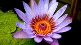 GEO Leserfoto: Die besten Leserfotos: August 2014 - Bild 10