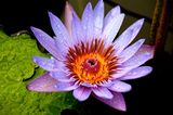 GEO Leserfoto: Die besten Leserfotos: August 2014 - Bild 10