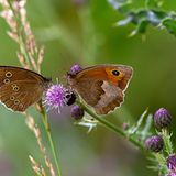 GEO Leserfoto: Die besten Leserfotos: August 2014 - Bild 11