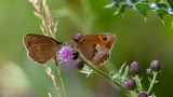 GEO Leserfoto: Die besten Leserfotos: August 2014 - Bild 11