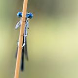 GEO Leserfoto: Die besten Leserfotos: August 2014 - Bild 13