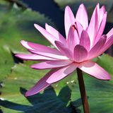 GEO Leserfoto: Die besten Leserfotos: August 2014 - Bild 16