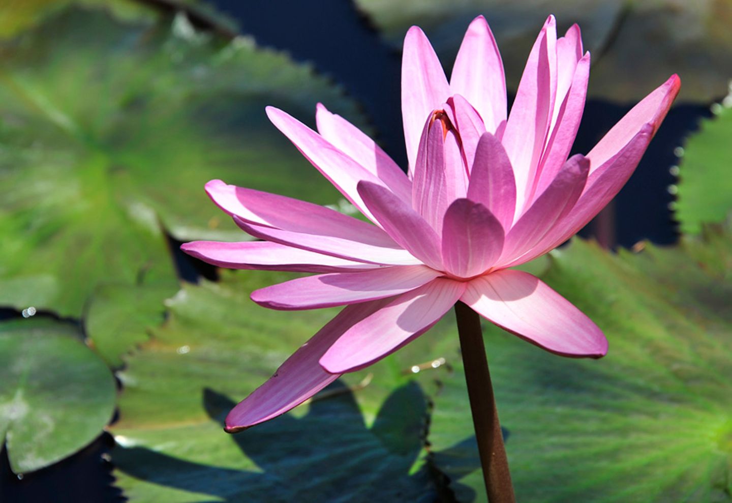 GEO Leserfoto: Die besten Leserfotos: August 2014 - Bild 16