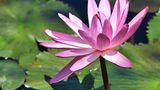 GEO Leserfoto: Die besten Leserfotos: August 2014 - Bild 16
