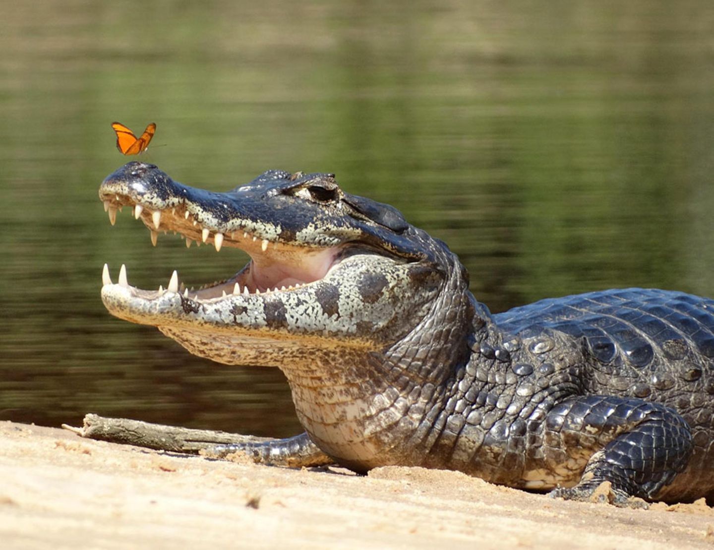 GEO Leserfoto: Die besten Leserfotos: August 2014 - Bild 17